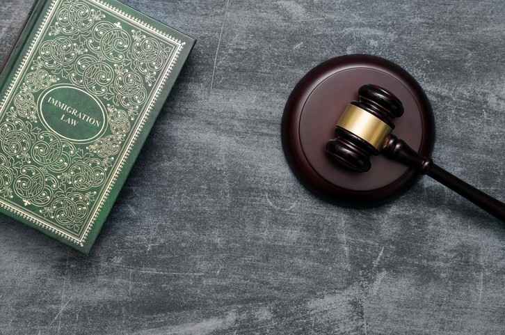 Immigration Attorney