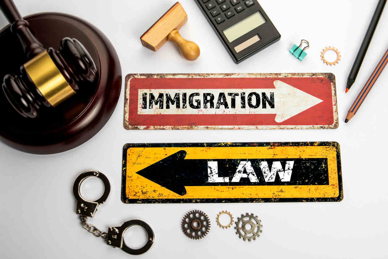 immmigration Case
